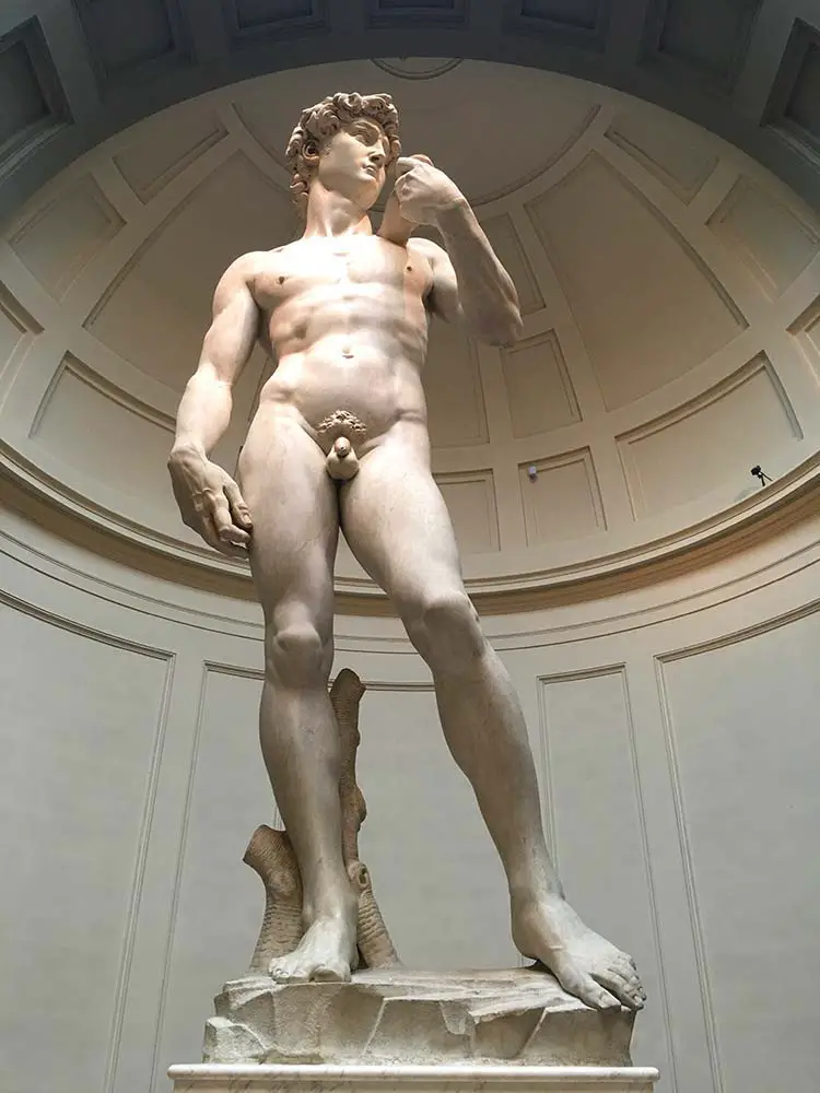 Michelangelo's famous David statue.