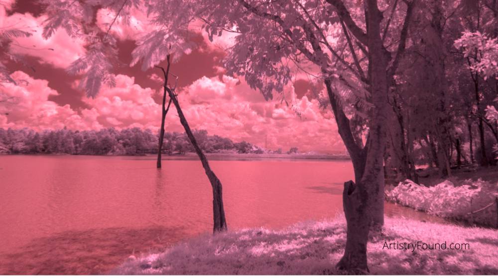 Fine Art Photography vs Commercial Photography (What's the Diff