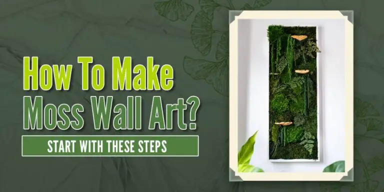 How To Make Moss Wall Art: A Step By Step Tutorial