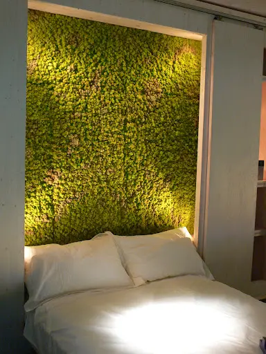 An example of moss wall art in a bedroom