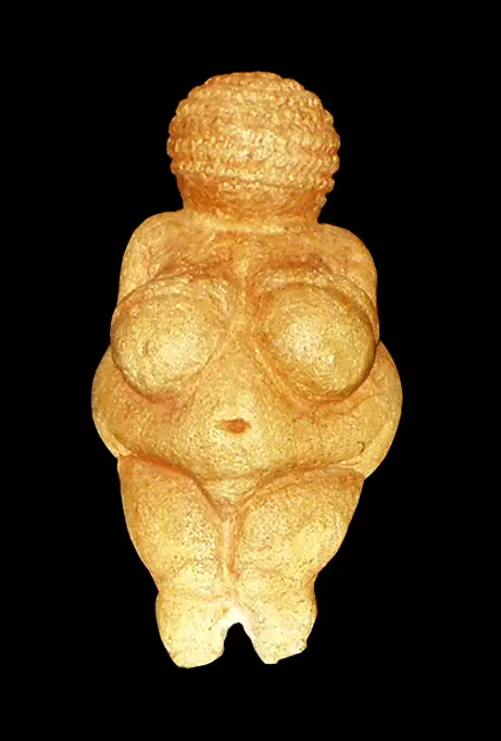 a venus figurine